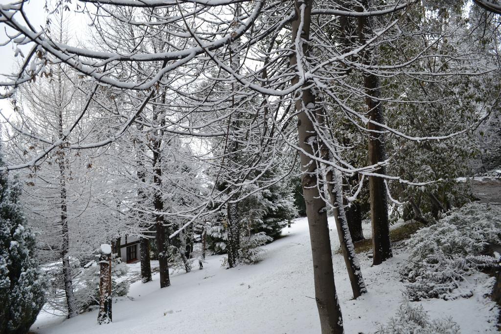 Pailahue Cabanas Lodge San Carlos de Bariloche Dış mekan fotoğraf